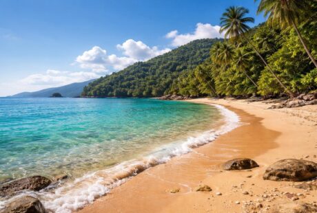 Praia de Ubatuba com águas cristalinas, areia dourada, vegetação tropical e céu azul claro.